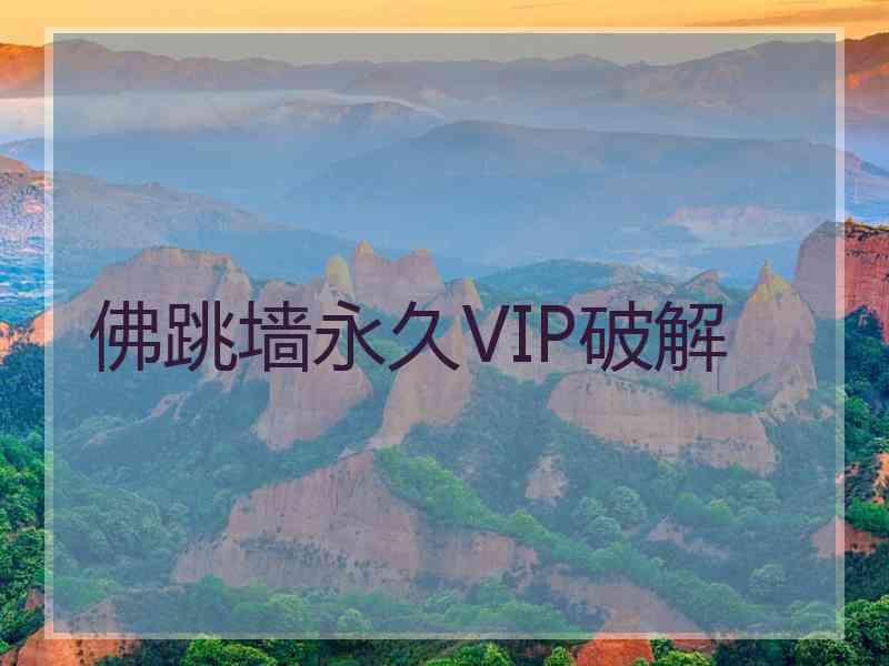 佛跳墙永久VIP破解