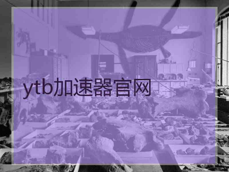 ytb加速器官网