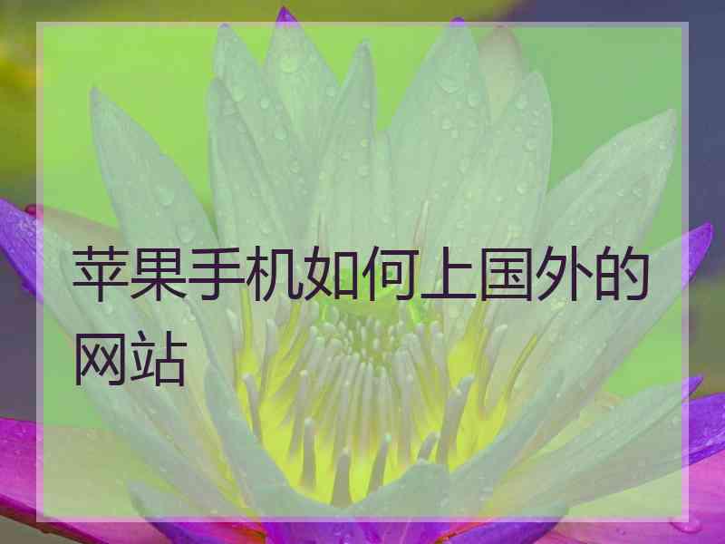 苹果手机如何上国外的网站