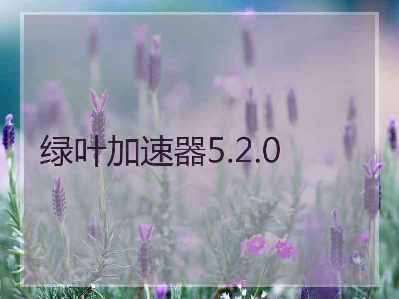 绿叶加速器5.2.0