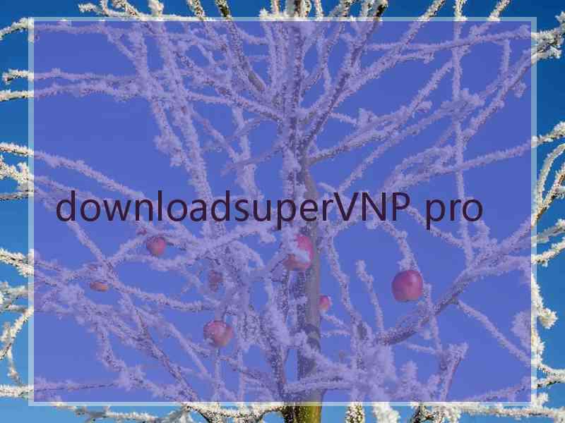 downloadsuperVNP pro