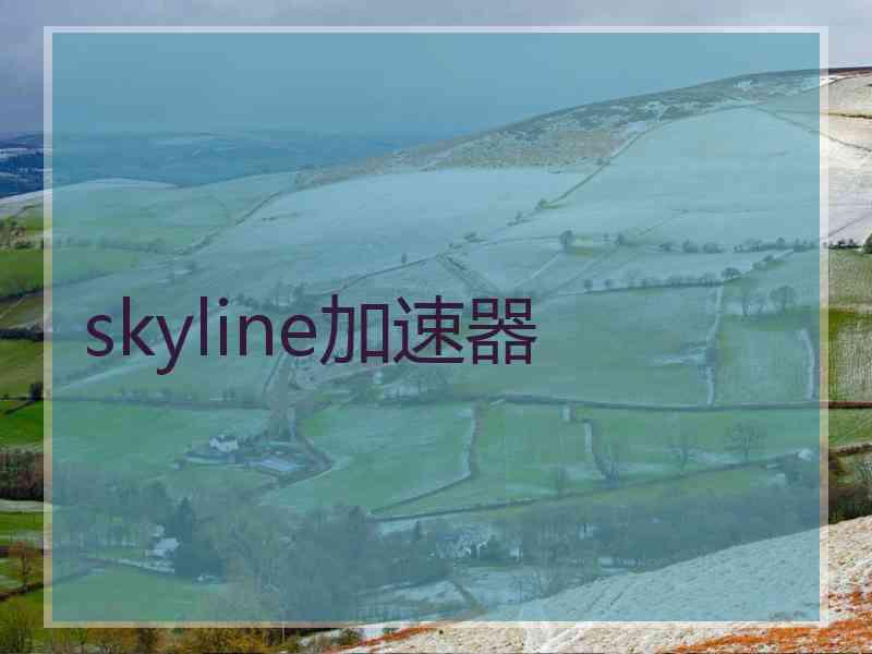 skyline加速器