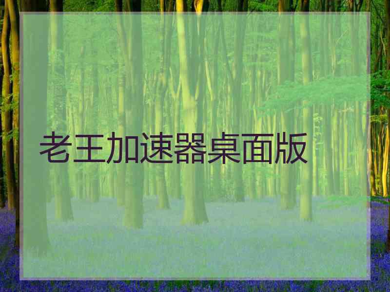 老王加速器桌面版