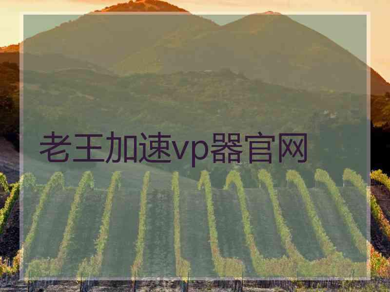 老王加速vp器官网