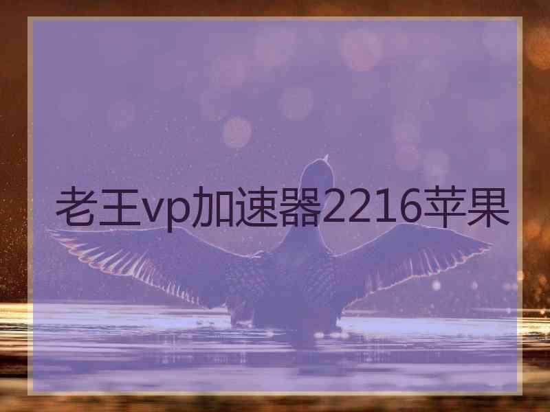 老王vp加速器2216苹果