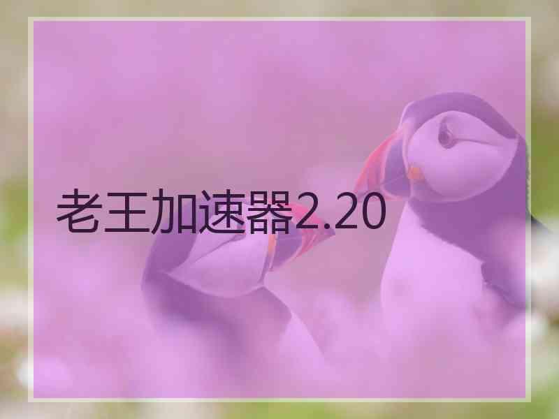 老王加速器2.20