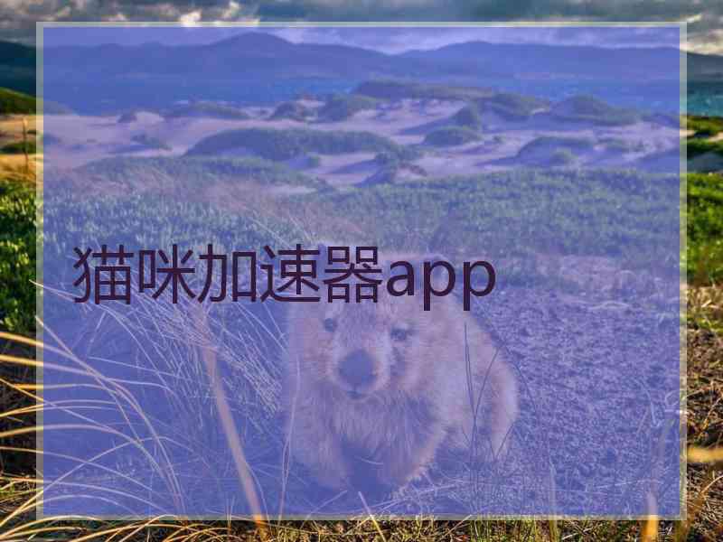 猫咪加速器app