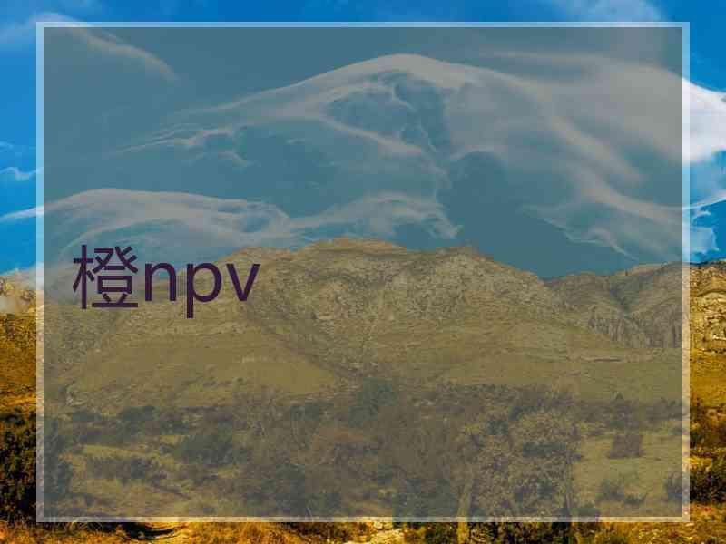 橙npv