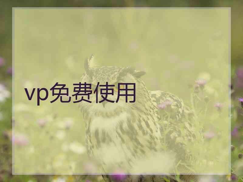 vp免费使用