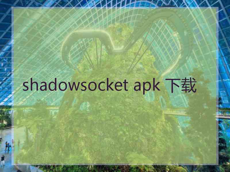 shadowsocket apk 下载