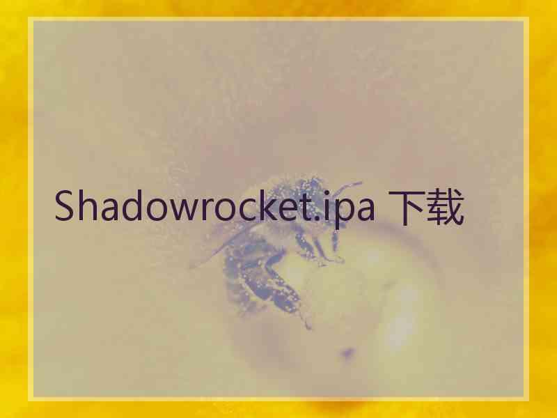 Shadowrocket.ipa 下载