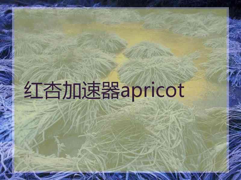 红杏加速器apricot