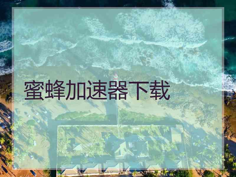 蜜蜂加速器下载