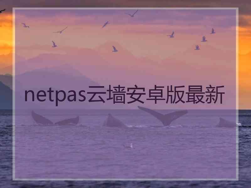 netpas云墙安卓版最新