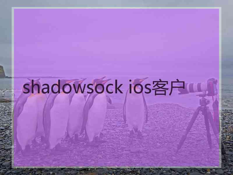 shadowsock ios客户