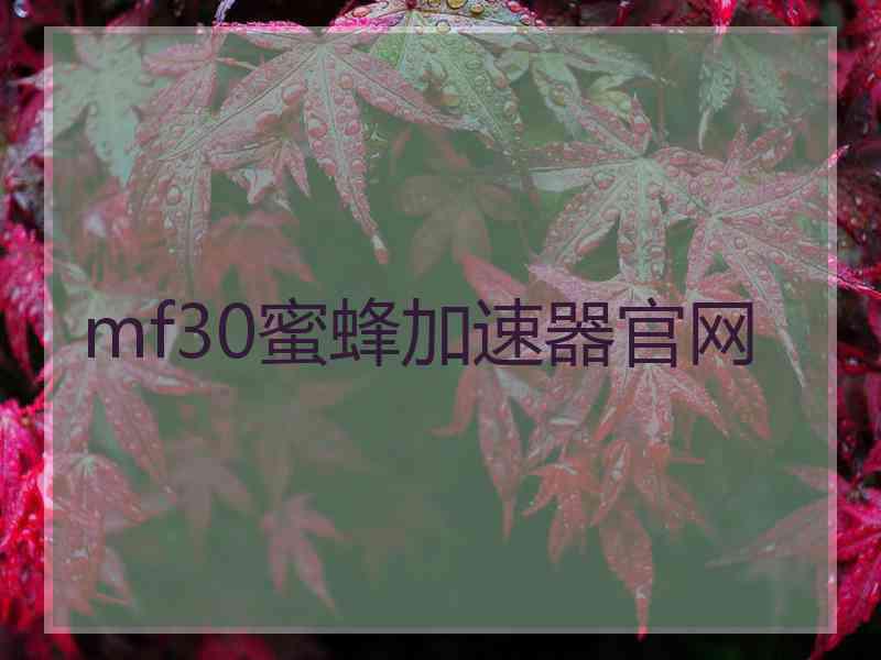 mf30蜜蜂加速器官网