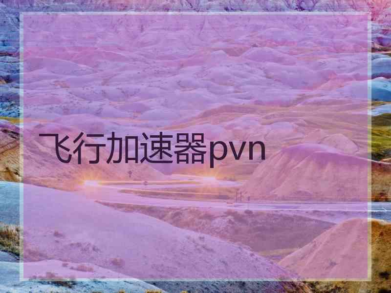 飞行加速器pvn