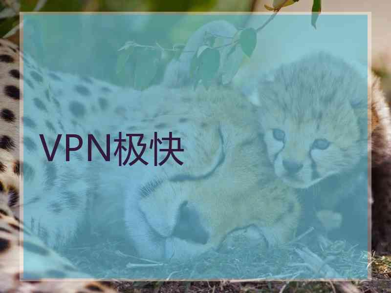 VPN极快