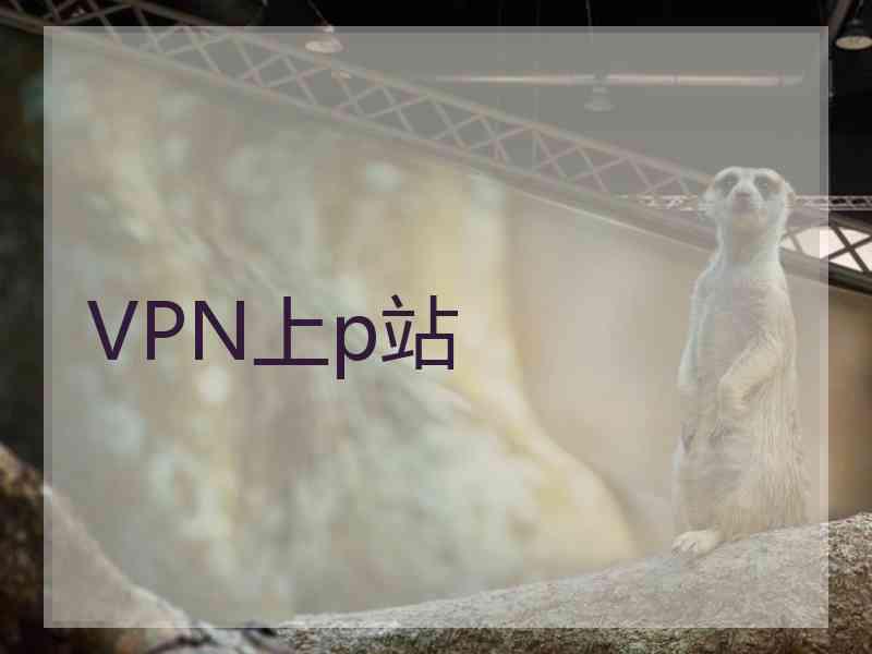 VPN上p站