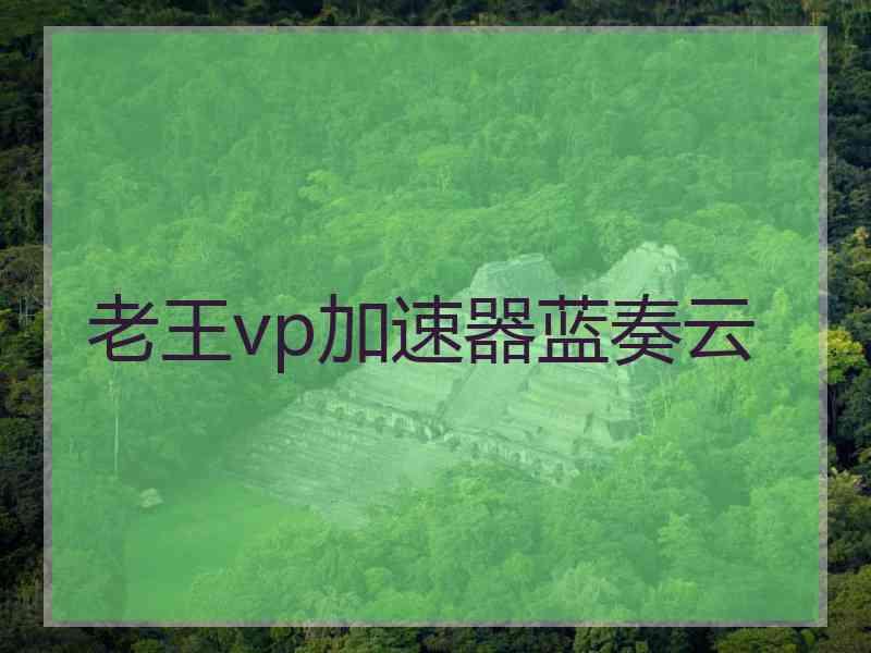 老王vp加速器蓝奏云