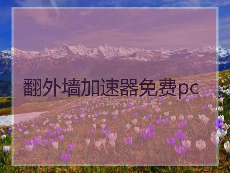 翻外墙加速器免费pc