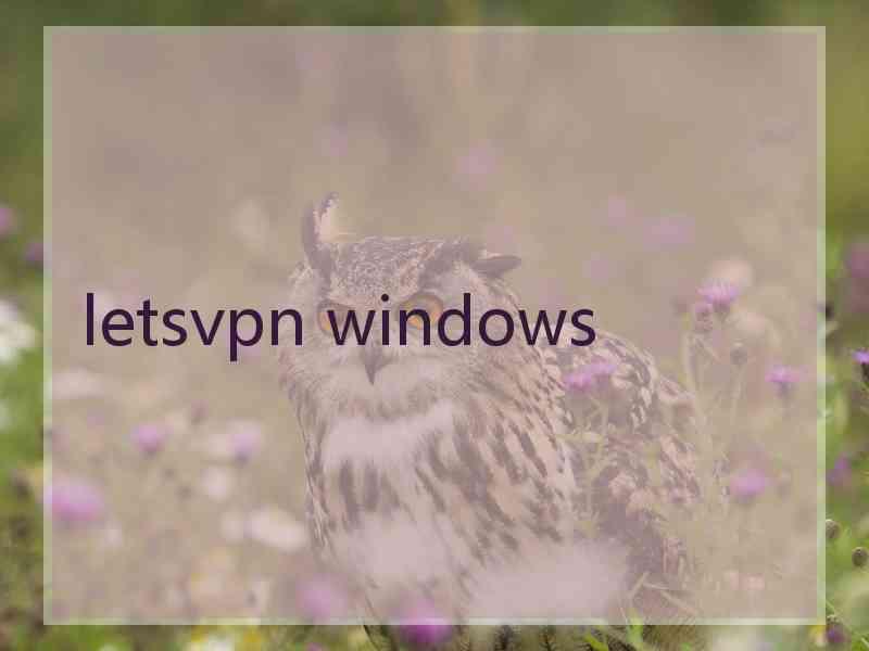 letsvpn windows