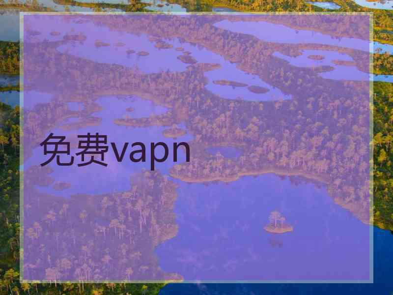 免费vapn