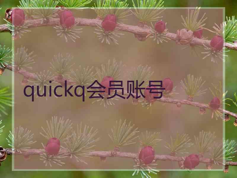 quickq会员账号