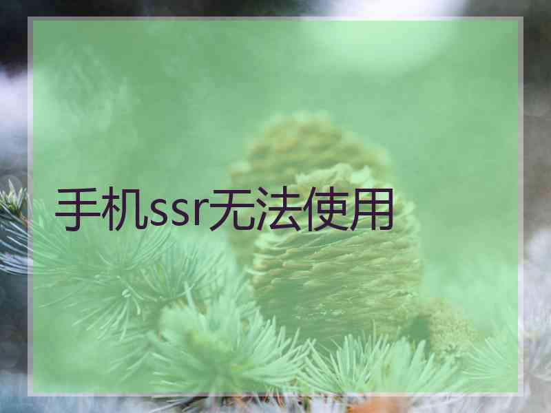 手机ssr无法使用