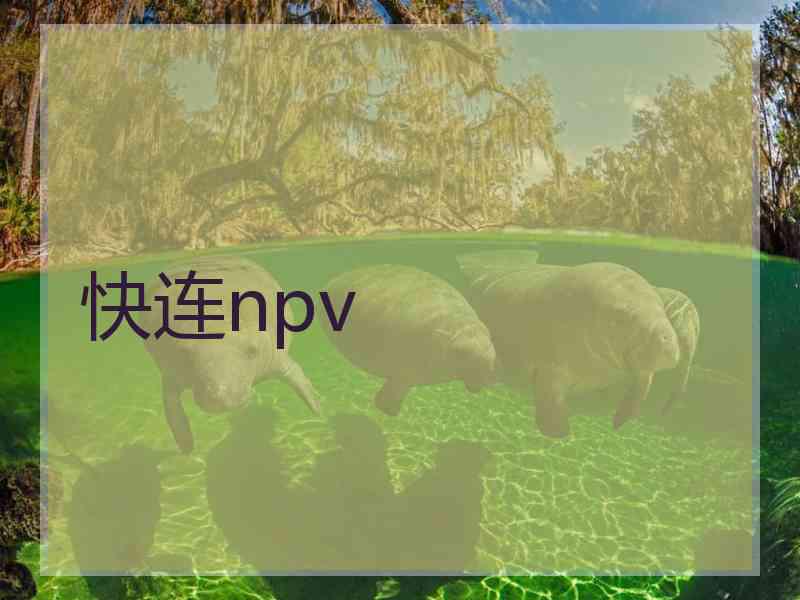 快连npv