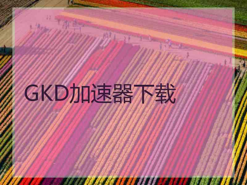 GKD加速器下载