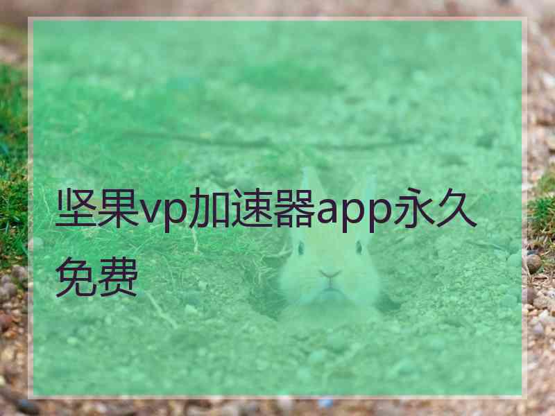 坚果vp加速器app永久免费