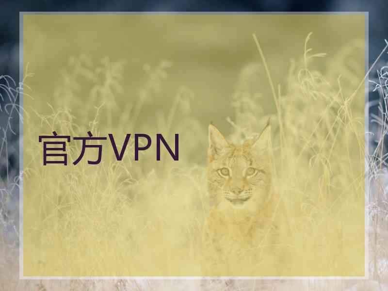 官方VPN