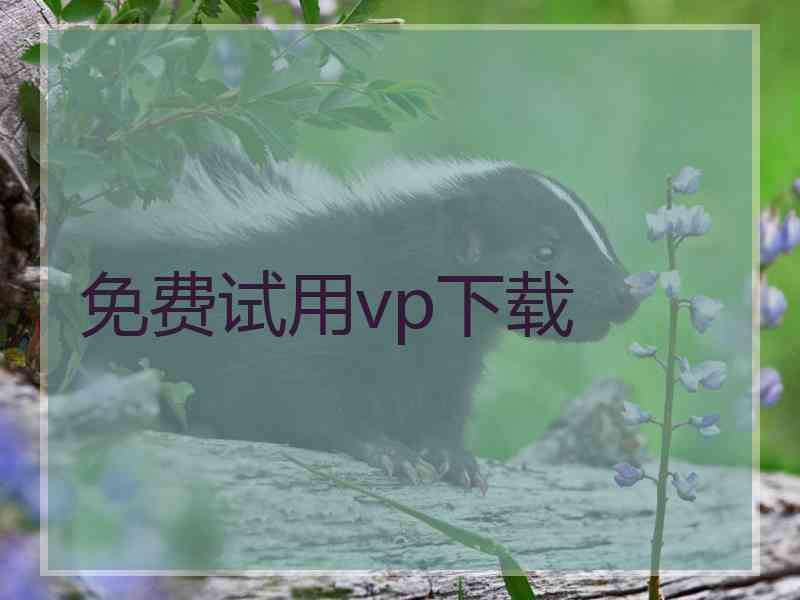 免费试用vp下载