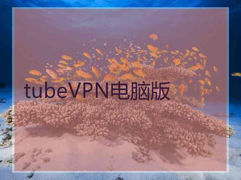 tubeVPN电脑版