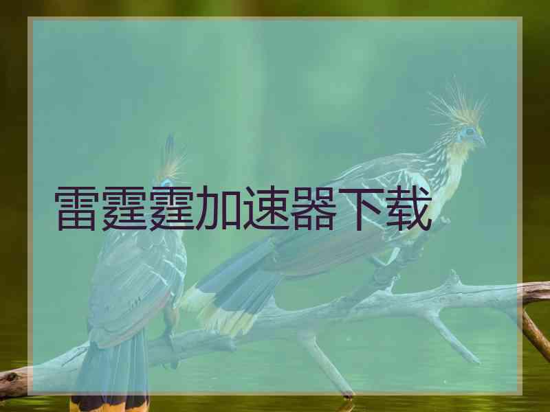 雷霆霆加速器下载