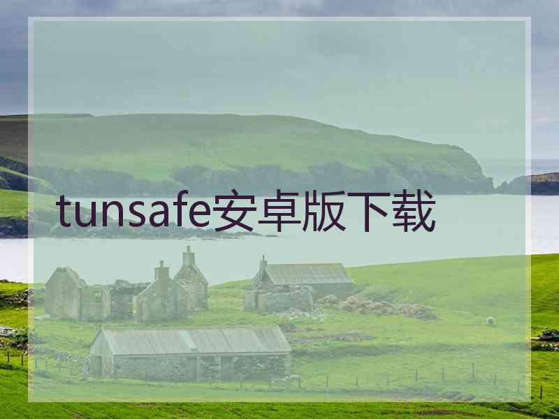 tunsafe安卓版下载