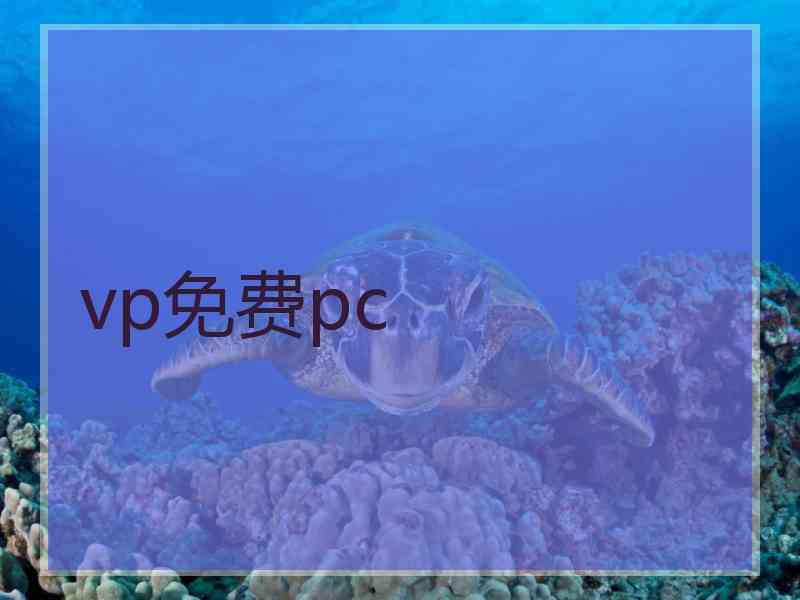 vp免费pc