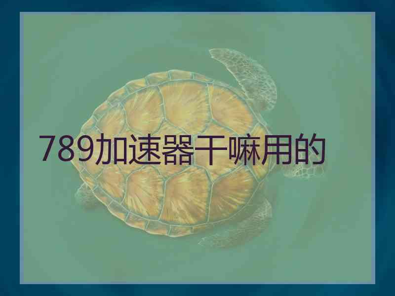 789加速器干嘛用的