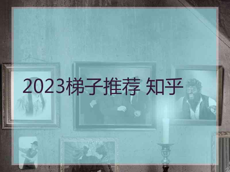 2023梯子推荐 知乎