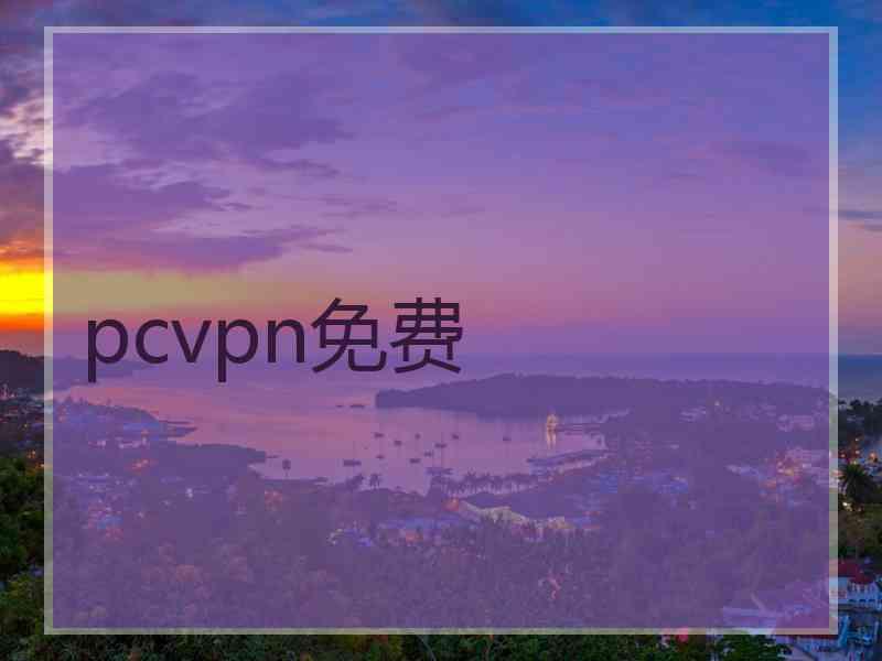 pcvpn免费