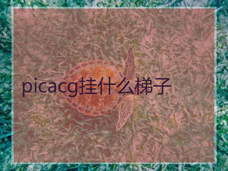 picacg挂什么梯子