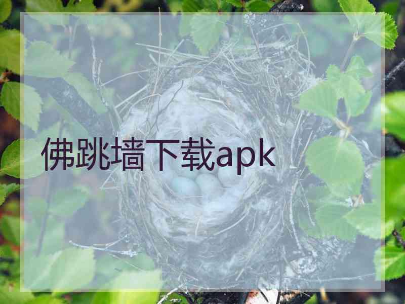 佛跳墙下载apk