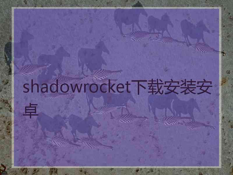 shadowrocket下载安装安卓