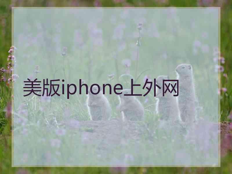 美版iphone上外网