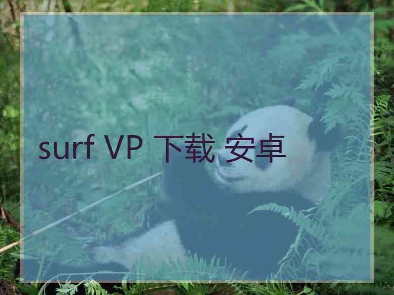 surf VP 下载 安卓