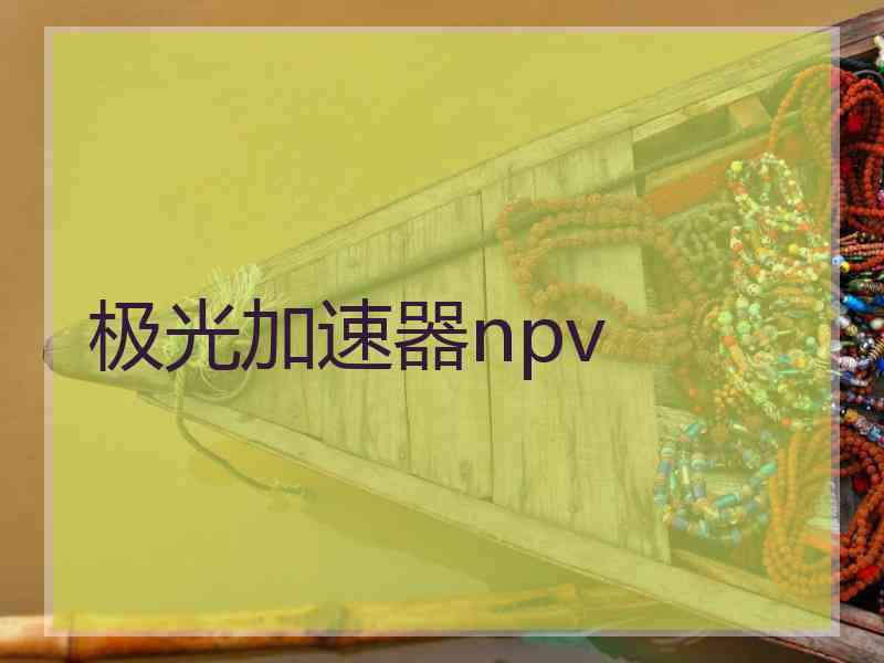 极光加速器npv