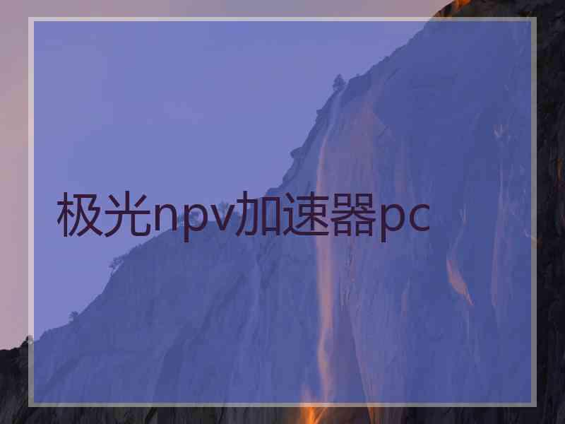 极光npv加速器pc