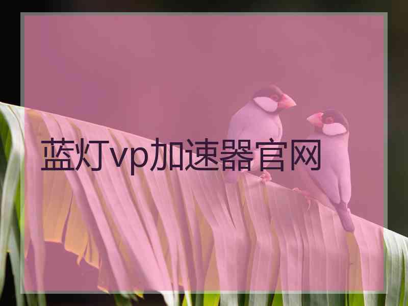 蓝灯vp加速器官网