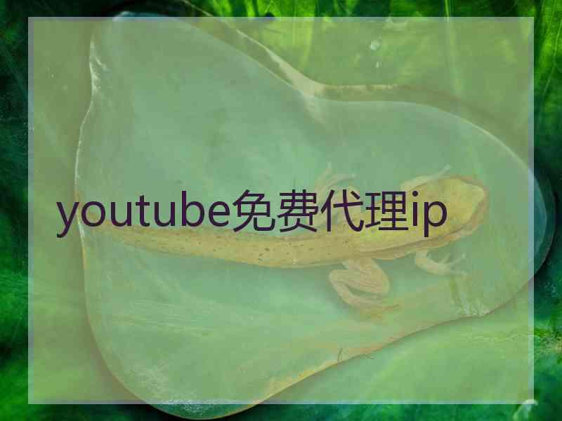 youtube免费代理ip